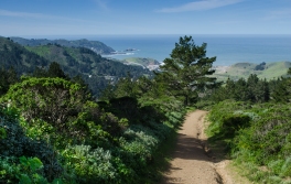 The hike up Mori Ridge in Pacifica imparts spectacular views of the city of Pacifica and the Pacific Ocean.