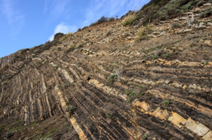 Once a segment of Highway 1, the multi-use Devil’s Slide Trail offers a glimps of the area’s geology—sedimentary stratum of sandstone and shale, folded and thrusted from the Pacific Ocean floor over the course of millions of years.